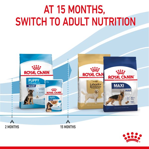 Royal Canin Maxi Puppy Junior Hot on Sale