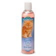 Bio-Groom Tearless Kitten Shampoo - Kuddly Kitty (236ml) Online Sale