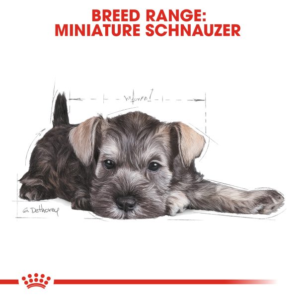 Royal Canin Miniature Schnauzer Puppy Junior 1.5kg For Discount