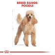 Royal Canin Poodle Adult Hot on Sale