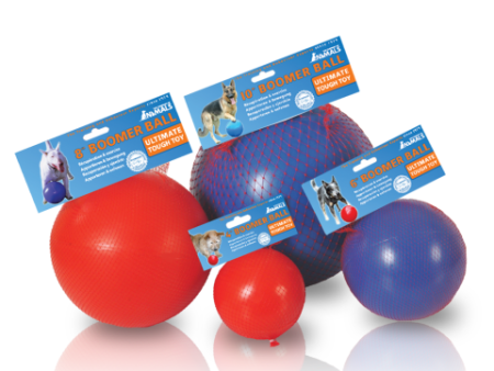 Boomer Ball - Tough Dog Ball on Sale