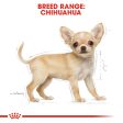 Royal Canin Chihuahua Puppy on Sale