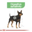 Royal Canin Mini Digestive Care Online now