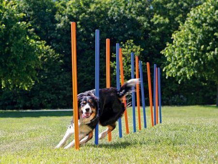 Agility Weave Poles 12 115cm High Fashion