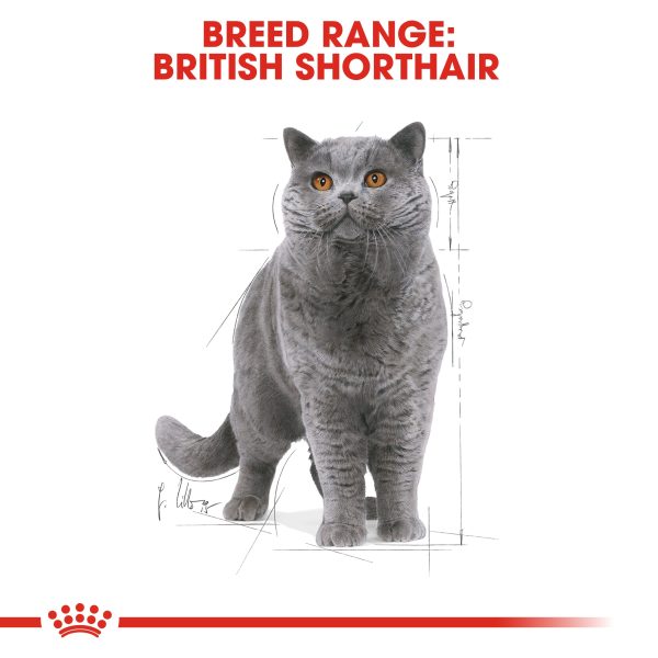 Royal Canin Cat Pouch - British Shorthair Fashion