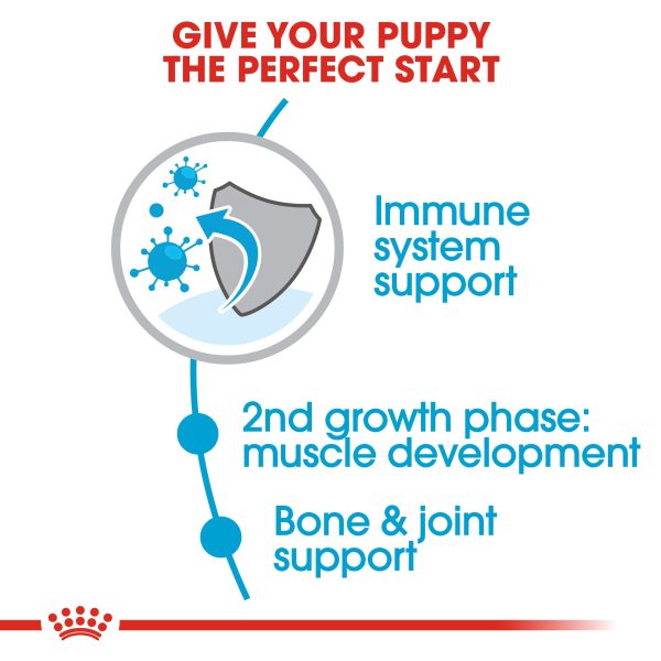 Royal Canin - Giant - Junior Cheap