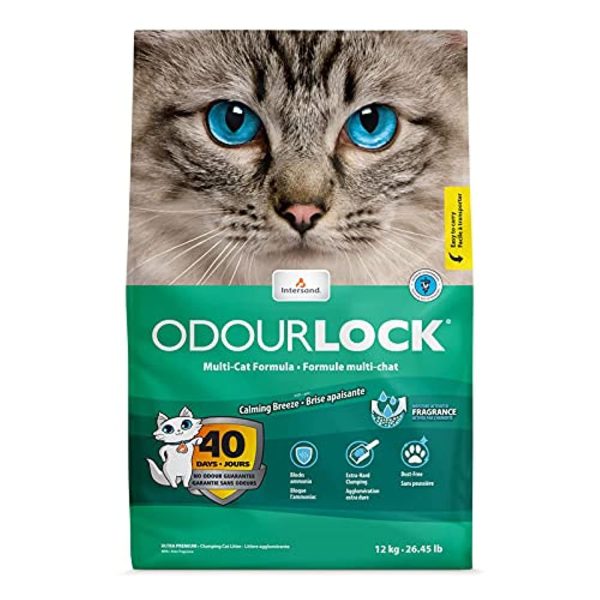 Intersand Odour Lock Calming Breeze Cat Litter  12 Kg Cheap