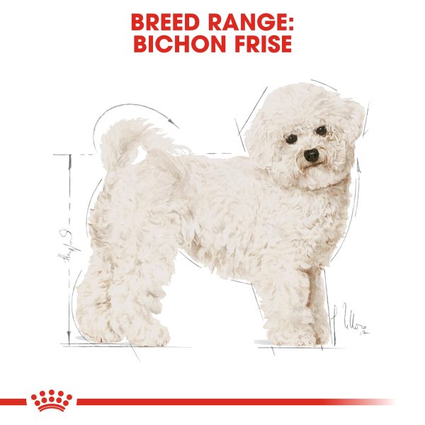 Royal Canin Bichon Frise Cheap