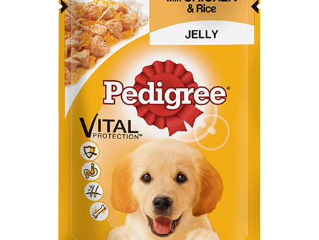 Pedigree Puppy Pouch Chicken Jelly 100g For Sale