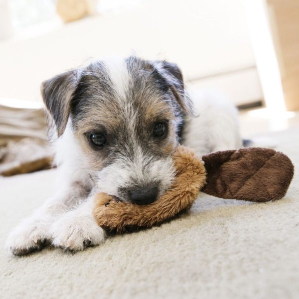 Beco Soft Dog Toy - Brenda the Beaver For Sale