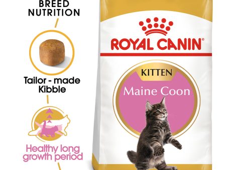 Royal Canin - Maine Coon - Kitten on Sale