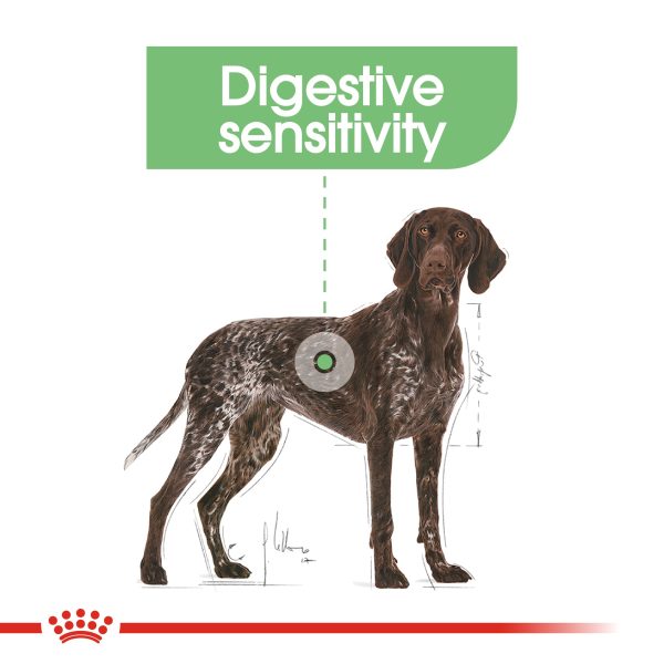 Royal Canin - Maxi - Digestive Care Sale