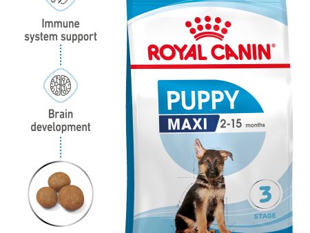 Royal Canin Maxi Puppy Junior Hot on Sale