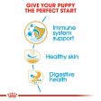 Royal Canin Pug Puppy Junior Supply