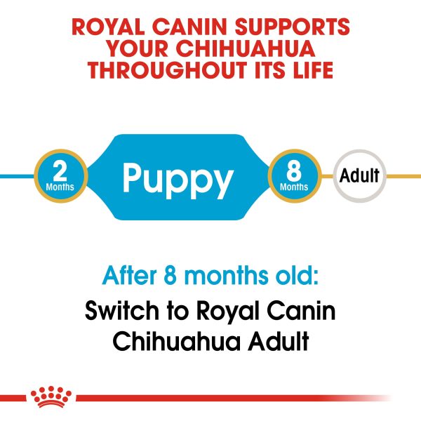 Royal Canin Chihuahua Puppy on Sale