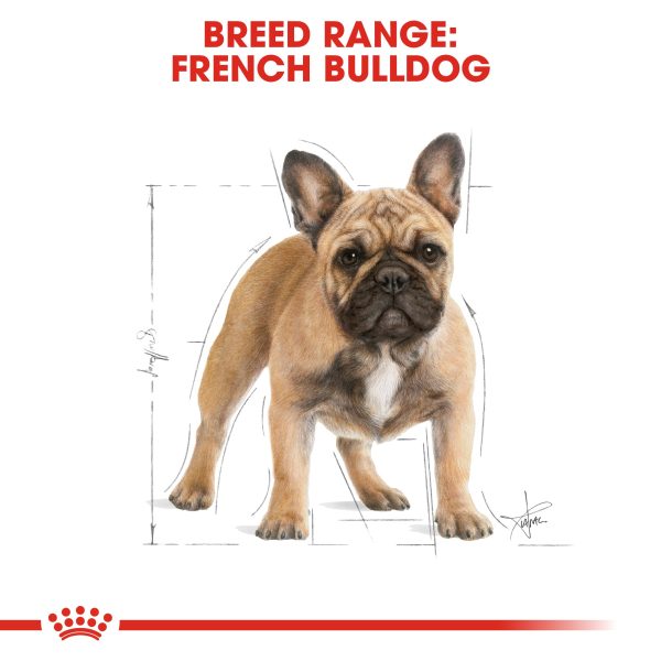 Royal Canin - French Bulldog - Adult Online Hot Sale