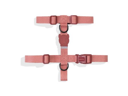 Zee Dog Canyon H-Harness Online now