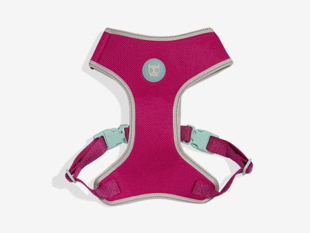 Zee Dog Nox Sidus Air Mesh Harness on Sale