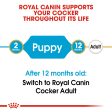 Royal Canin Cocker Spaniel Puppy Supply