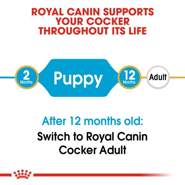 Royal Canin Cocker Spaniel Puppy Supply