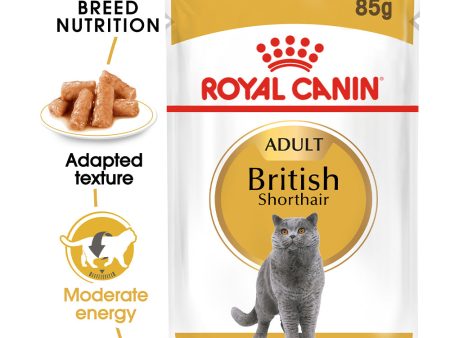 Royal Canin Cat Pouch - British Shorthair Fashion