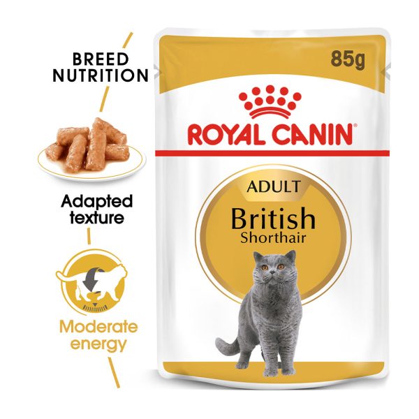 Royal Canin Cat Pouch - British Shorthair Fashion