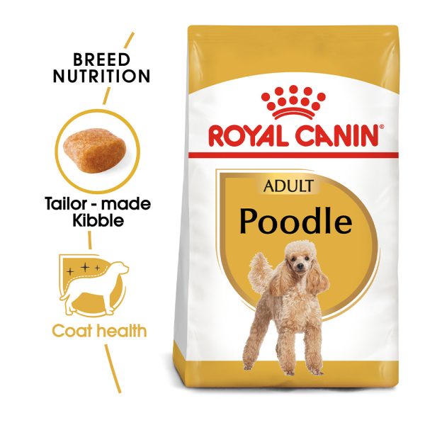 Royal Canin Poodle Adult Hot on Sale