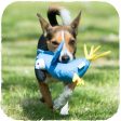 Beco Soft Dog Toy - Parrot Cheap