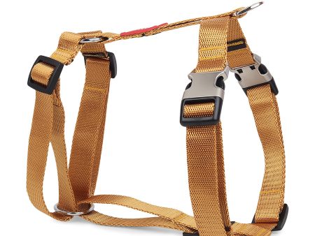 ZL Classic Dog H Harness Gold Online Sale