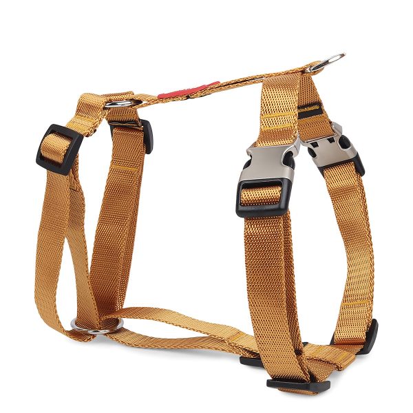 ZL Classic Dog H Harness Gold Online Sale