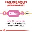 Royal Canin - Maine Coon - Kitten on Sale