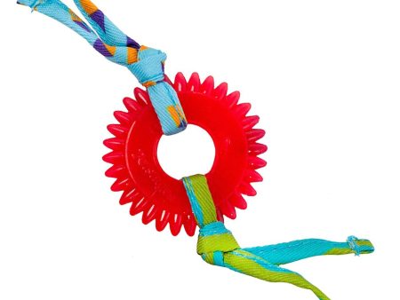 Outward Hound Kitty Chew Wheel Cat Toy - 9 cm For Discount