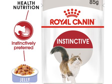 Royal Canin Cat Pouch - Instinctive in Jelly Hot on Sale