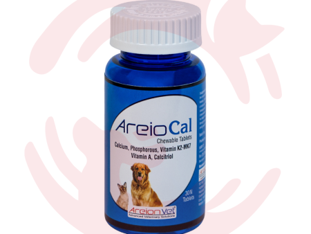 Areion Vet Supplements for Cats & Dogs - AreioCal (30 Chewable Tabs) on Sale