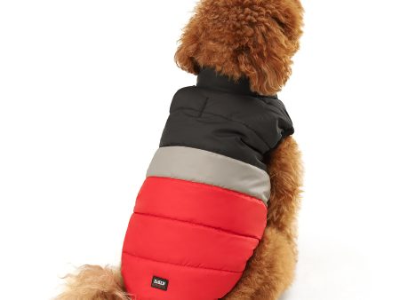 ZL Cookie Time Winter Dog Jacket For Sale