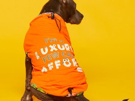 Beboji I Am Luxury Few Can Afford Dog Tshirt on Sale