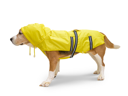 PetWale Raincoats For Dogs - Yellow with Reflective Strips For Cheap