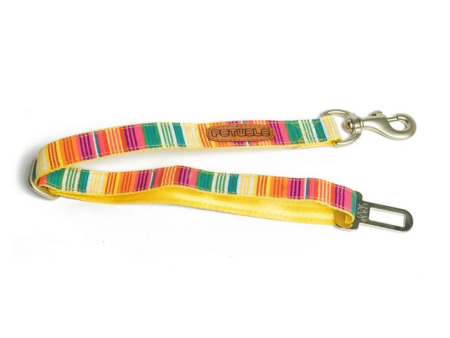 Petwale Car Seatbelt - Colourful Stripes Online now