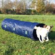 Activity Agility Tunnel Hot on Sale