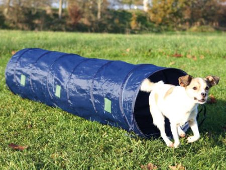 Activity Agility Tunnel Hot on Sale