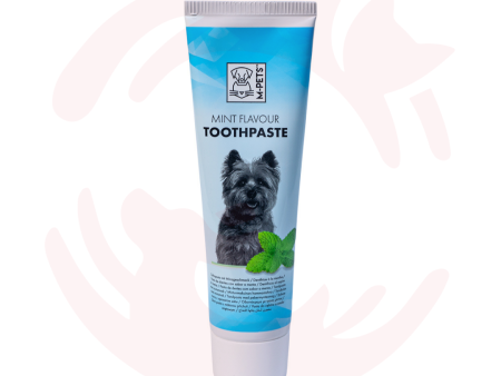 M-Pets Toothpaste for Cats & Dogs - Mint For Cheap