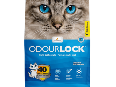 Intersand Odourlock - Clumping Cat Litter 12kg Online Hot Sale