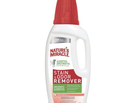 Nature’s Miracle - Cat Melon Burst Stain & Odour Remover (32oz   946ml) Supply