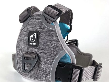 Best Dog IN LINE - Non Pull Harness - Grey For Sale