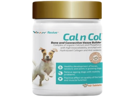 Vvaan Supplements for Dogs - Cal and Col - Calcium and Collagen Tablets (40 tabs) For Cheap