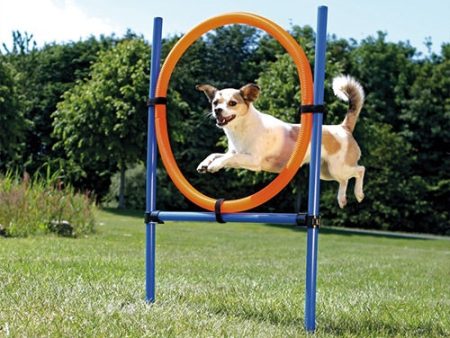 Activity Agility Ring Sale