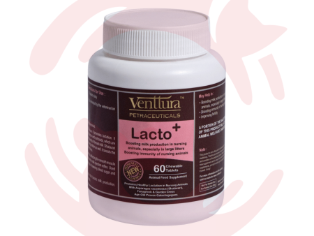 Venttura Supplements for Cats & Dogs - LactoPlus (60 Tabs) For Sale