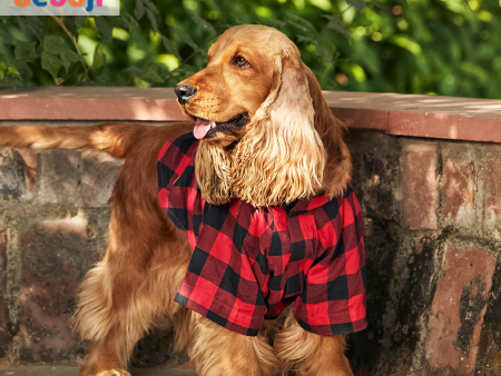 Beboji Red Checkered Dog Shirt Online Hot Sale