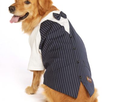 beboji Classy Gentelman Black Stripe Dog Shirt with Bow on Sale