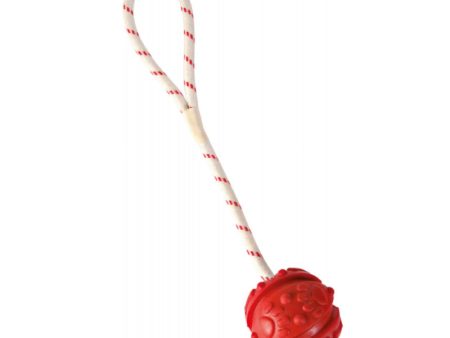 Aqua Dog Toy - Ball on Rope Online Hot Sale